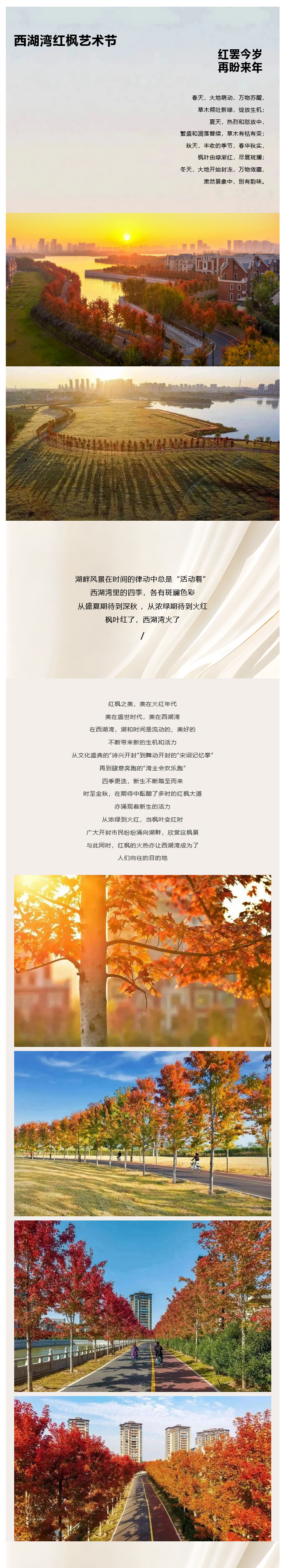 首届开封西湖湾红枫艺术节，红罢今岁，再盼来年！ (1).jpg