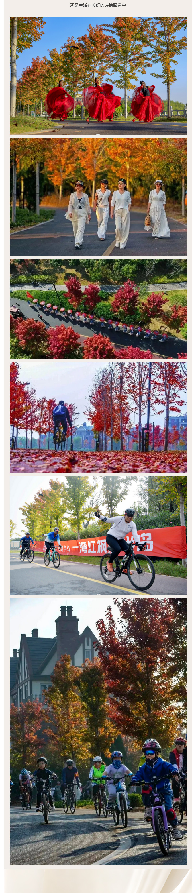 首届开封西湖湾红枫艺术节，红罢今岁，再盼来年！ (3).jpg