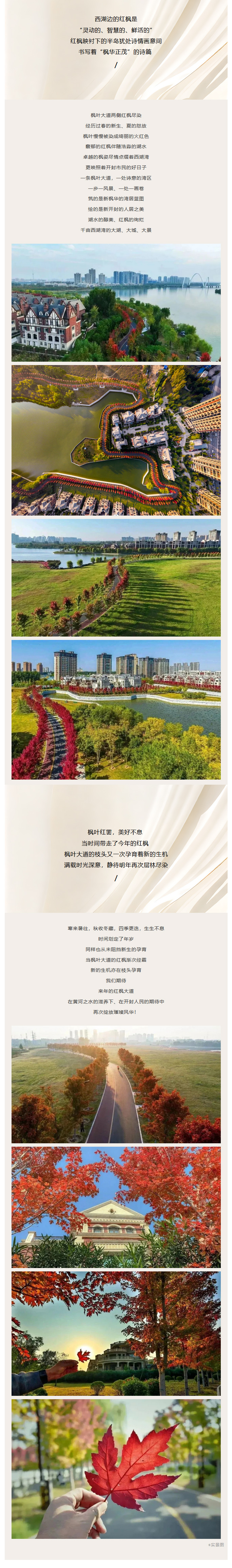 首届开封西湖湾红枫艺术节，红罢今岁，再盼来年！ (4).jpg