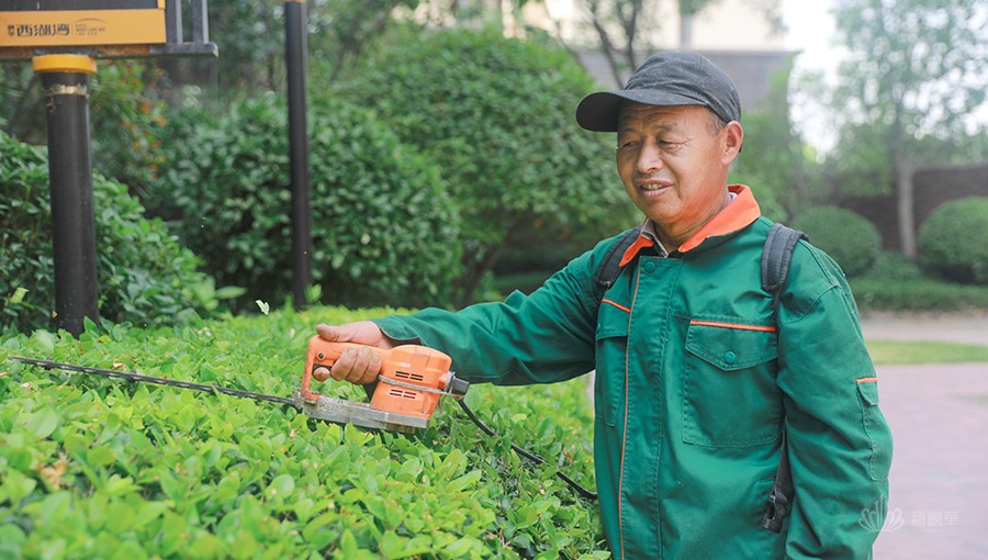 西湖东岸景观维护